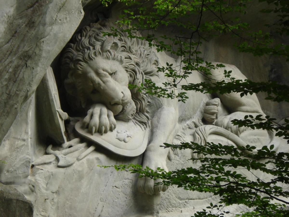 Hostel Lion Lodge Luzern Lucerne Exterior photo